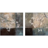 Framed Abstract & Natural Elements 2 Piece Art Print Set
