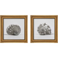 Framed Beachside Treasure 2 Piece Framed Art Print Set