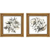 Framed Elegance  2 Piece Framed Art Print Set