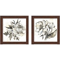 Framed Elegance  2 Piece Framed Art Print Set