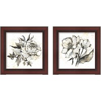 Framed Elegance  2 Piece Framed Art Print Set