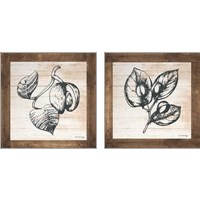 Framed 'Petals on Planks 2 Piece Art Print Set' border=