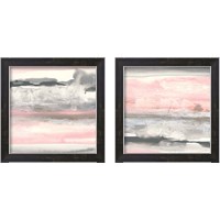 Framed Charcoal and Blush 2 Piece Framed Art Print Set