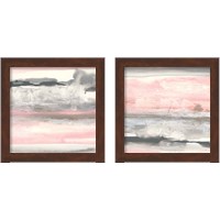 Framed Charcoal and Blush 2 Piece Framed Art Print Set