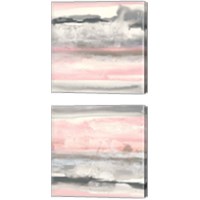 Framed 'Charcoal and Blush 2 Piece Canvas Print Set' border=