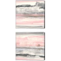 Framed 'Charcoal and Blush 2 Piece Canvas Print Set' border=