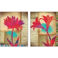 Framed 'Floral Notes 2 Piece Art Print Set' border=