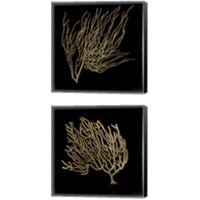 Framed Gold Coral 2 Piece Canvas Print Set