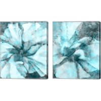 Framed Immersed 2 Piece Canvas Print Set