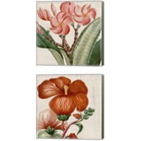 Framed Cropped Turpin Tropicals 2 Piece Canvas Print Set