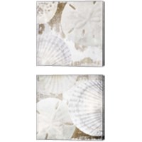 Framed White Shells 2 Piece Canvas Print Set