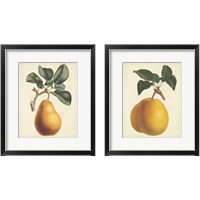 Framed 'Antique Pear Botanical 2 Piece Framed Art Print Set' border=