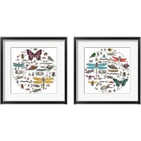 Framed Insect Circle 2 Piece Framed Art Print Set