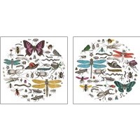 Framed Insect Circle 2 Piece Art Print Set