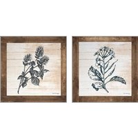 Framed 'Petals on Planks 2 Piece Art Print Set' border=