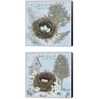 Framed Nesting Collection 2 Piece Canvas Print Set