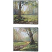 Framed 'Path to the Tree 2 Piece Canvas Print Set' border=