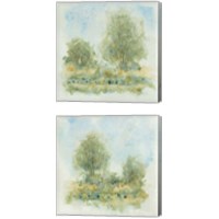 Framed 'Fluid Landscape 2 Piece Canvas Print Set' border=