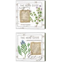 Framed 'Herb Guide 2 Piece Canvas Print Set' border=