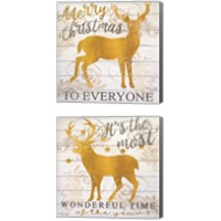 Framed 'It's the Most Wonderful Time Deer 2 Piece Canvas Print Set' border=