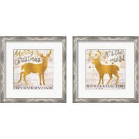 Framed 'It's the Most Wonderful Time Deer 2 Piece Framed Art Print Set' border=