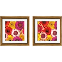 Framed 'Splash of Color 2 Piece Framed Art Print Set' border=