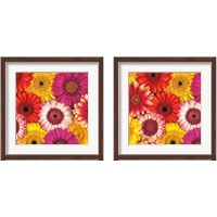 Framed 'Splash of Color 2 Piece Framed Art Print Set' border=