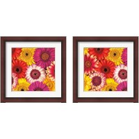 Framed 'Splash of Color 2 Piece Framed Art Print Set' border=