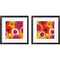 Framed 'Splash of Color 2 Piece Framed Art Print Set' border=