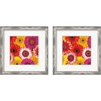 Framed 'Splash of Color 2 Piece Framed Art Print Set' border=