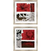 Framed 'Flora  2 Piece Framed Art Print Set' border=