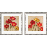 Framed 'Graceful Spring 2 Piece Framed Art Print Set' border=