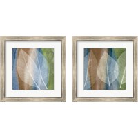 Framed 'Leaf Structure 2 Piece Framed Art Print Set' border=