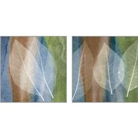 Framed Leaf Structure 2 Piece Art Print Set