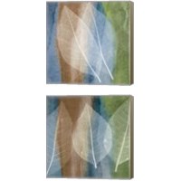 Framed 'Leaf Structure 2 Piece Canvas Print Set' border=