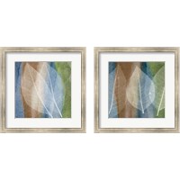 Framed 'Leaf Structure 2 Piece Framed Art Print Set' border=