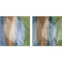 Framed 'Leaf Structure 2 Piece Art Print Set' border=