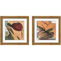 Framed 'Summertime  2 Piece Framed Art Print Set' border=