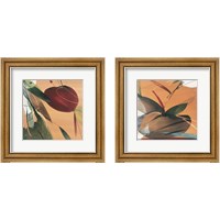 Framed Summertime  2 Piece Framed Art Print Set