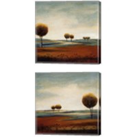 Framed 'Tranquil Plains 2 Piece Canvas Print Set' border=