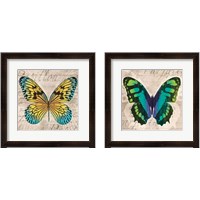 Framed 'Butterflies  2 Piece Framed Art Print Set' border=