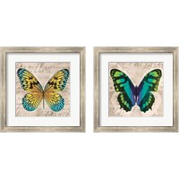 Framed Butterflies  2 Piece Framed Art Print Set