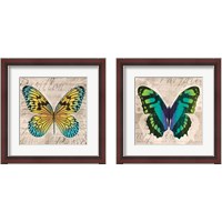 Framed Butterflies  2 Piece Framed Art Print Set