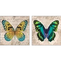 Framed 'Butterflies  2 Piece Art Print Set' border=