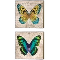 Framed 'Butterflies  2 Piece Canvas Print Set' border=