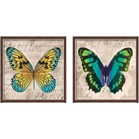 Framed Butterflies  2 Piece Framed Art Print Set
