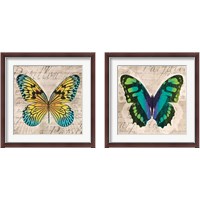 Framed 'Butterflies  2 Piece Framed Art Print Set' border=