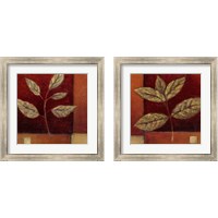 Framed 'Crimson Leaf Study 2 Piece Framed Art Print Set' border=