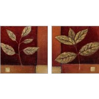 Framed 'Crimson Leaf Study 2 Piece Art Print Set' border=