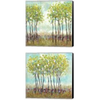 Framed Foxwood  2 Piece Canvas Print Set